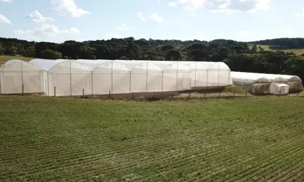 Chácara para venda tem 30.250 metros quadrados  - Lapa - PR