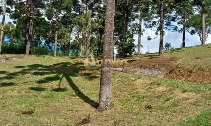 Chácara / sítio com 4 quartos à venda na Estrada Vereador Júlio Ferreira Filho, 2800, Cacaiguera, Campina Grande do Sul