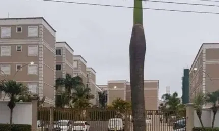 Apartamento com 2 quartos à venda na Estrada Água Chata, Água Chata, Guarulhos