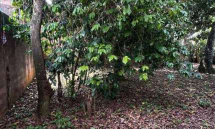 Terreno à venda, 232 m² por R$ 446.000,00 - Jardim Rosa de Franca - Guarulhos/SP