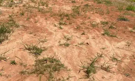Terreno à venda, 500 m² por R$ 318.000,00 - Correas - Arujá/SP
