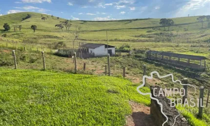 Fazenda 127 hectares ! ótima localização e topografia média !