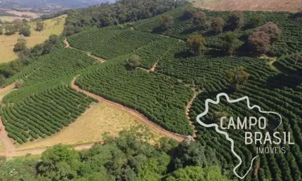 Fazenda com 1 sala à venda na Estrada Principal, Zona Rural, Cambuquira