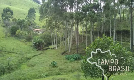 Chácara / sítio com 2 quartos à venda na Estrada Principal, Zona Rural, Paraibuna
