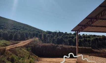Fazenda à venda na Estrada Principal, Zona Rural, Santa Rita do Sapucaí
