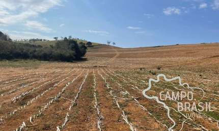 FAZENDA 250 HECTARES DE  CRIAÇÃO DE ZEBUÍNO, NELORE MOCHO, PURO DE ORIGEM (PO), PORTEIRA FECHADA NO SUL DE MINAS GERAIS!