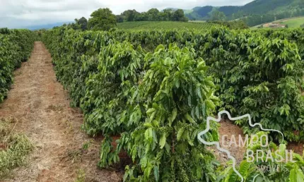 Fazenda à venda na Estrada Principal, Zona Rural, Machado
