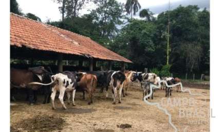 LINDA FAZENDA 159,56 HECTARES LOCALIZAÇÃO PRIVILEGIADA EM CRUZEIRO !