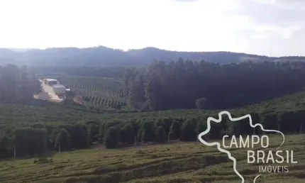 FAZENDA 290 ALQUEIRES NO SUL DE MINAS COM ESTRUTURA COMPLETA!