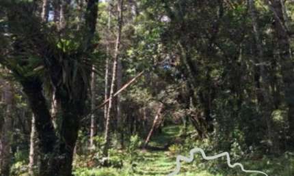 Terreno à venda na Estrada Principal, Zona Rural, Sapucaí-Mirim
