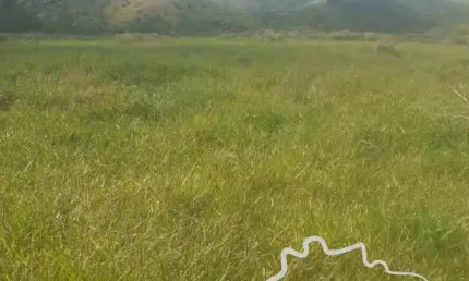 Área rural 20.000 m² na zona norte de são josé dos campos!