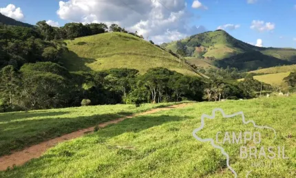 Fazenda 190 hectares fim de linha traquila e segura  aptdão para pecuaria !
