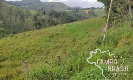 Ótima área 50.000m² em jambeiro, no asfalto, ideal para indústria