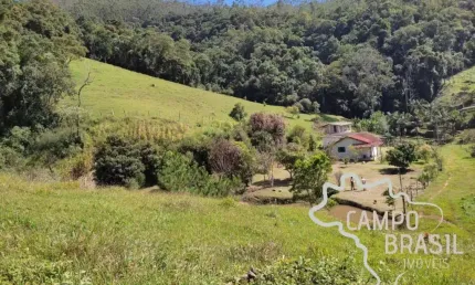 FAZENDA 60 ALQUEIRES COM PLANTAÇÃO DE EUCALIPTO EM SALESÓPOLIS!