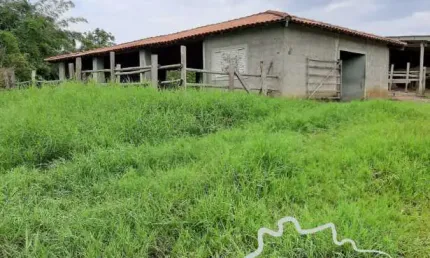 SÍTIO EM CAÇAPAVA 5 ALQUEIRES COM ÓTIMA TOPOGRAFIA!