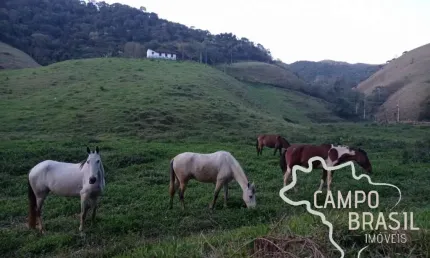 Ótimo sítio 6 alqueires em são francisco xavier com muita água!