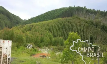Fazenda 32 alqueires com plantação de eucalipto em paraibuna!