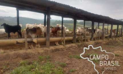 Fazenda com 1 sala à venda na Centro, Centro, Tremembé por R$ 10.000.000