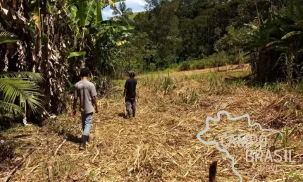 Sítio na beira do asfalto, com cachoeiras e 3aq de eucalipto.