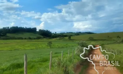 Fazenda no Sul de Minas com 157 hectares. Toda tratorável, rica em água.