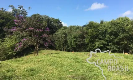 Excelente área rural de 6 alqueires! Para construir seu sítio dos sonhos!