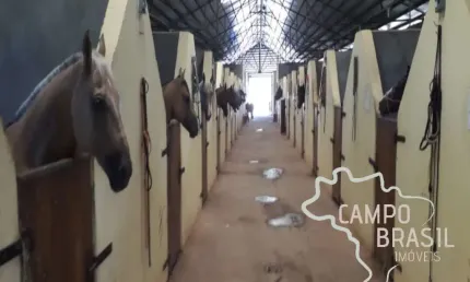 Haras de alto padrão com casa sede e três alojamentos!