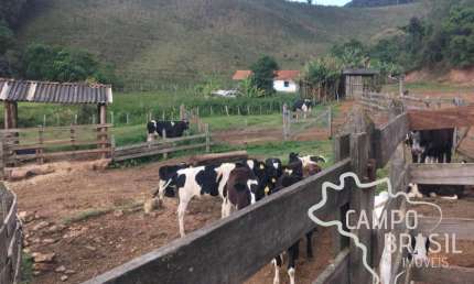 Oportunidade rural! Fazenda para pecuária e agricultura!