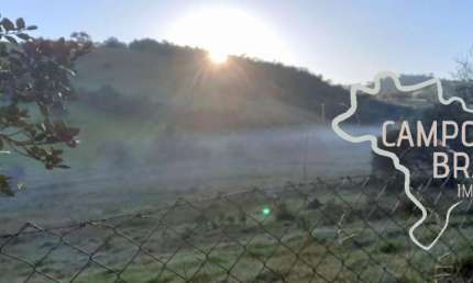 Chácara / sítio com 3 quartos à venda na Rua Principal, Zona Rural, Paraisópolis