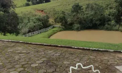 FAZENDA COM PASTO FORMADO 246 HECTARES EM CRUZILIA-MG !