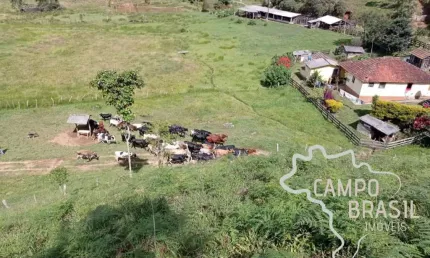 Fazenda rica em água 117 hectares em passa vinte -mg !
