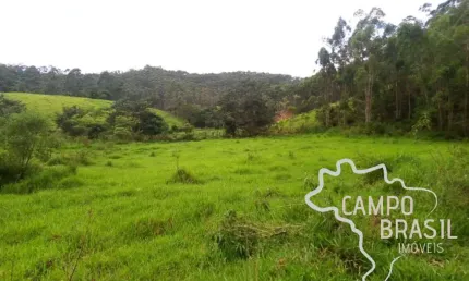 SÍTIO 7 ALQUEIRES NO ASFALTO COM 30 MIL PÉS DE EUCALIPTO EM PARAIBUNA !