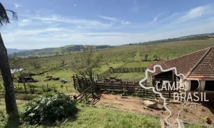 Chácara / sítio com 4 quartos à venda na Estrada Principal, Área Rural de Pouso Alegre, Pouso Alegre