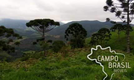RARIDADE ! SÍTIO NA SERRA DA BOCAÍNA - MG COM CACHOEIRA E RICO EM ÁGUA !