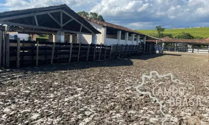 Fazenda 165,20 alqueires topografia plana no vale do paraíba !