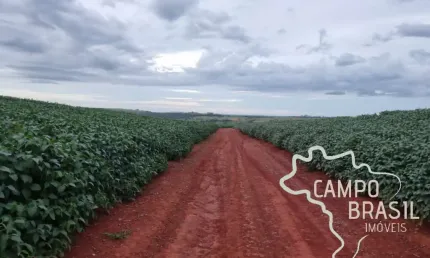OPORTUNIDADE SUL DE MINAS GERAIS - FAZENDA COM 212 HECTARES !