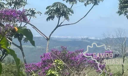 ÁREA RURAL 20.000M² EM MONTEIRO LOBATO COM LINDA VISTA !
