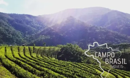 Maravilhosa fazenda 54 hectares em carvalhos - mg !