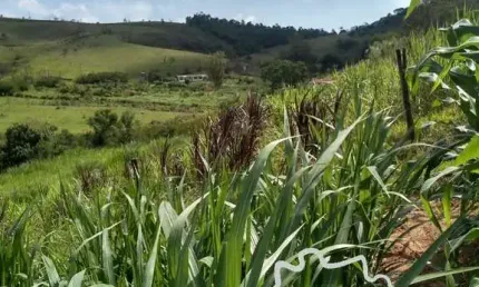 Chácara / sítio com 2 quartos à venda na Estrada Principal, Zona Rural, Paraibuna