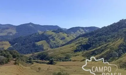 ÁREA RURAL 31,5 ALQUEIRES COM PASTO FORMADO EM DELFIM MOREIRA - MG !