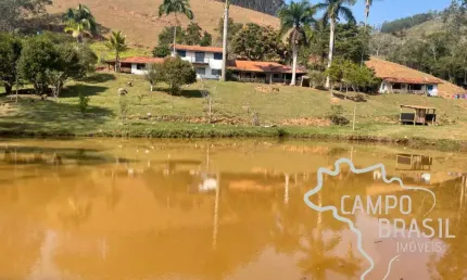 Linda fazenda de 86 alqueires em produção! Com 40 aq de Eucalipto!