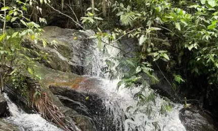 SÍTIO 7 ALQUEIRES COM CACHOEIRA EXUBERANTE IDEAL PARA EMPREENDIMENTO DE CENTRO DE LAZER !