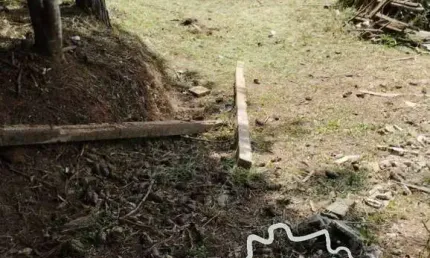 Chácara / sítio com 1 quarto à venda na Estrada Principal, Zona Rural, Paraibuna