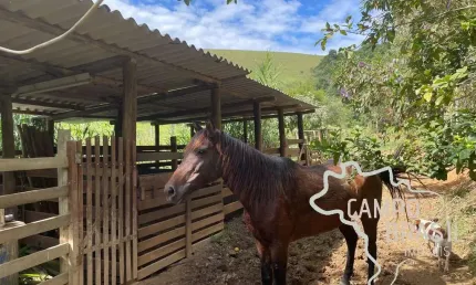 Lindo sítio formado de 4,8 hectares! com casa rústica e aconchegante em são josé dos campos.