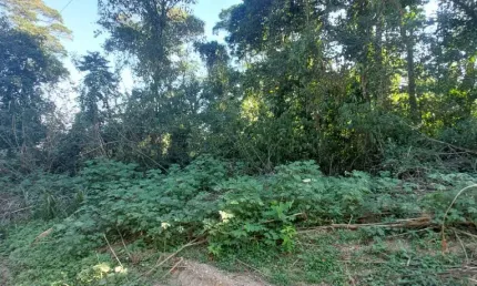 TE00187 - Excelente terreno a venda, localizado em Bairro de Chácaras, ótima topografia e vista panorâmica.