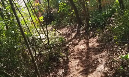 TE00188 - TERRENO PLANO À VENDA DE 2.837M² EM CONDOMÍNIO, EM SÃO ROQUE - SP