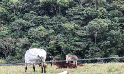 Fazenda à venda na Zona Rural, Antônio Dias 