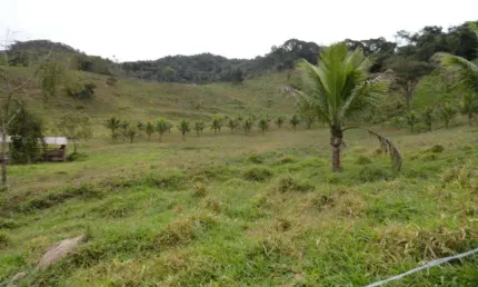 Chácara / sítio à venda na Zona Rural, Antônio Dias 