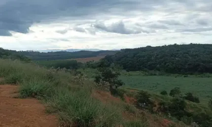 Fazenda Rural Bom Jesus do Galho - MG - Revés do Belém