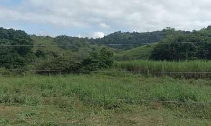 Fazenda Terreno Rural Pingo D`água - MG - Zona Rural