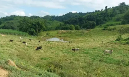 Fazenda terreno rural pingo d`água - mg - zona rural